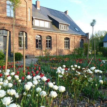 Gutshaus Altbauhof Dargun Exterior foto